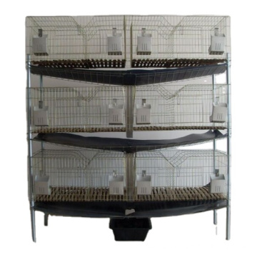 Cage de ferme de lapin de race de lapin commerciale pliante d&#39;intérieur avec étagère assemblée pour un usage domestique